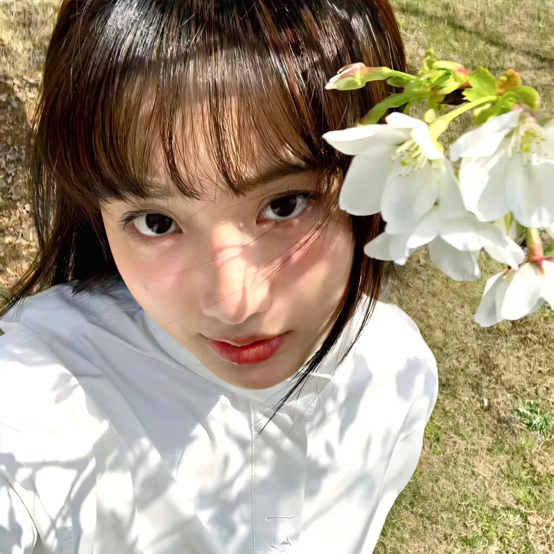 心智游戏